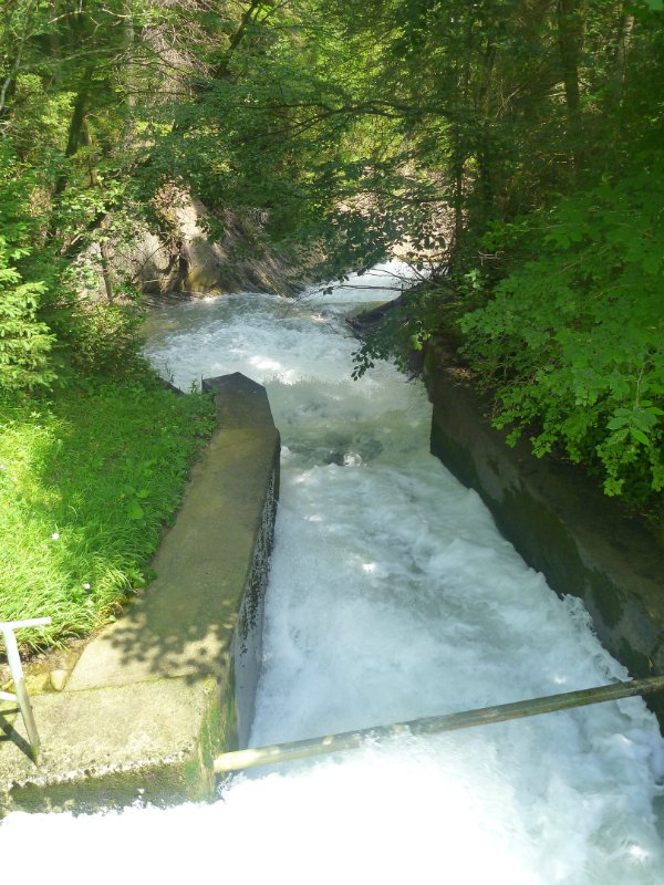 p1040194